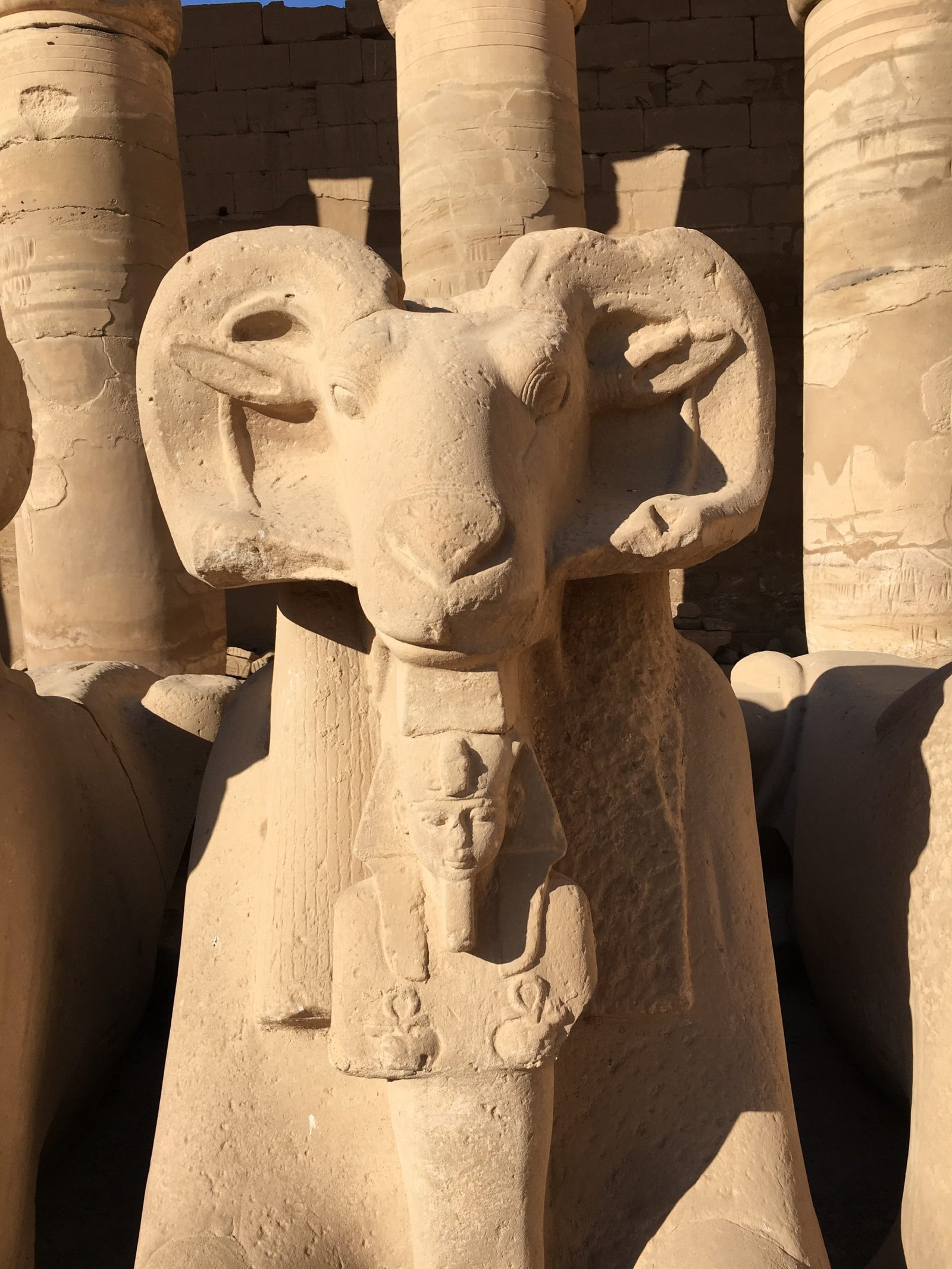 Sphinx with Ramesses 2 at Karnak temple